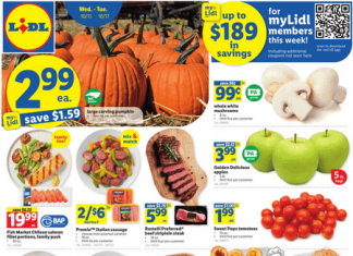 Lidl Weekly Ad Oct 11 – Oct 17, 2023