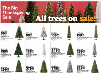 Michaels Weekly Ad Oct 08 – Oct 14, 2023 (Halloween Promotion Included)