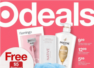 Target Weekly Ad Oct 29 – Nov 04, 2023 (Black Friday Promotion Included)