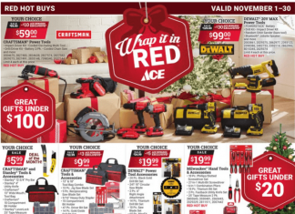 Ace Hardware Monthly Ad Nov 01 – Nov 30, 2023