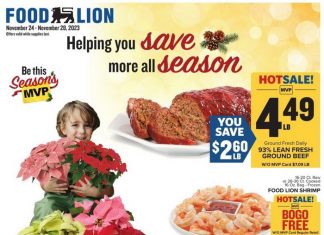 Food Lion Weekly Ad Nov 24 – Nov 28, 2023