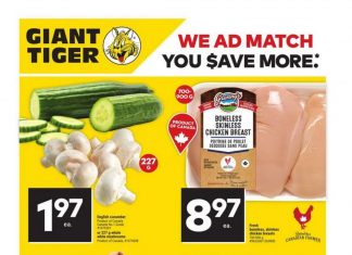 Giant Tiger Weekly Ad Nov 01 – Nov 07, 2023