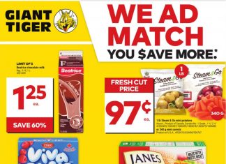 Giant Tiger Weekly Ad Nov 22 – Nov 28, 2023 (Black Friday Promotion Included)