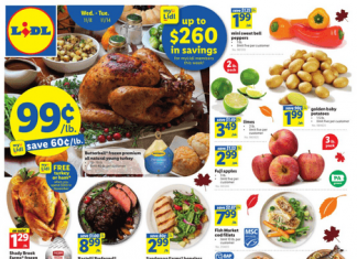 Lidl Weekly Ad Nov 08 – Nov 14, 2023