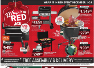ACE Hardware Monthly Ad Dec 01 – Dec 24, 2023