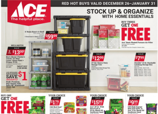 ACE Hardware Monthly Ad Dec 26, 2023 – Jan 31, 2024