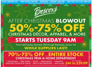 Boscov’s Weekly Ad Dec 26, 2023 – Jan 03, 2024 (Christmas Promotion Included)