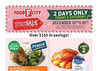 Food City Weekly Ad Dec 13 – Dec 19, 2023 (Christmas Promotion Included)