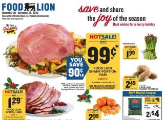 Food Lion Weekly Ad Dec 20 – Dec 26, 2023 (Christmas Promotion Included)