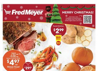 Fred Meyer Weekly Ad Dec 20 – Dec 26, 2023 (Christmas Promotion Included)