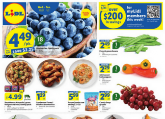 Lidl Weekly Ad Dec 27 – Jan 02, 2024