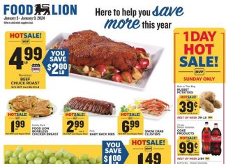 Food Lion Weekly Ad Jan 03 – Jan 09, 2024