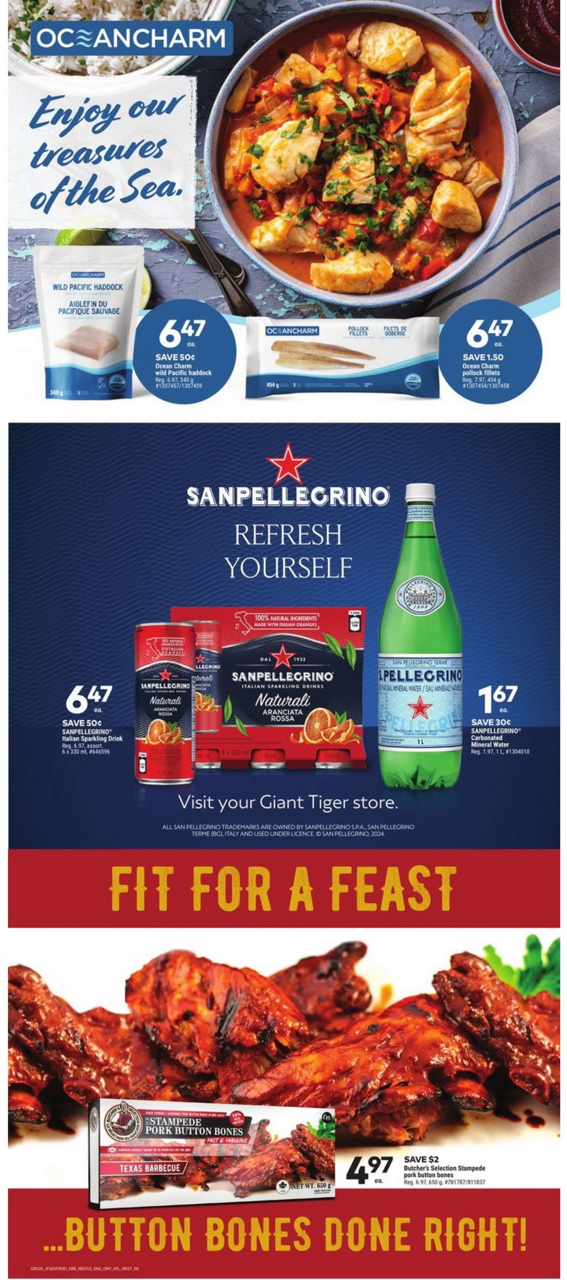 Giant Tiger Weekly Ad Jan 17 Jan 23, 2024