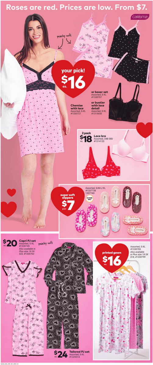 Giant Tiger Weekly Ad Jan 24 Jan 30, 2024