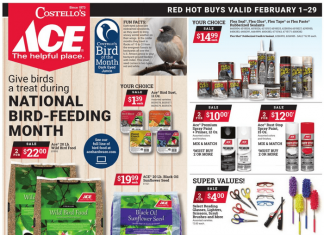 ACE Hardware Monthly Ad Feb 01 – Feb 29, 2024