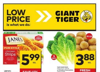 Giant Tiger Weekly Ad Feb 28 – Mar 05, 2024