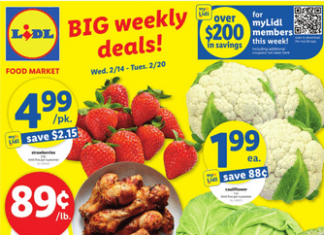 Lidl Weekly Ad Feb 14 – Feb 20, 2024
