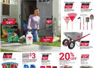 ACE Hardware Monthly Ad Mar 01 – Mar 31, 2024