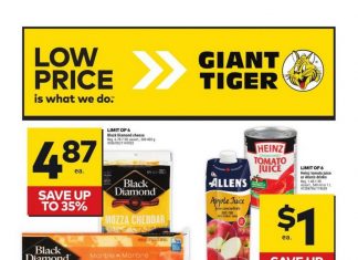 Giant Tiger Weekly Ad Mar 13 – Mar 19, 2024