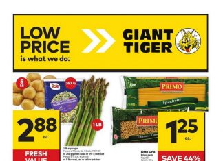 Giant Tiger Weekly Ad Mar 20 – Mar 26, 2024