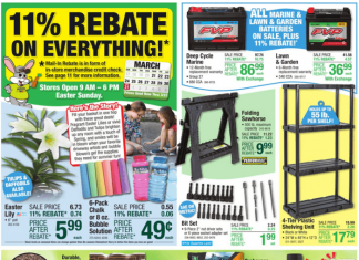 Menards Weekly Ad Mar 21 – Mar 31, 2024 (Easter Promotion Included)