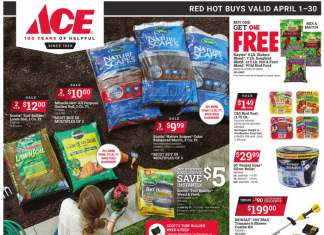 ACE Hardware Monthly Ad Apr 01 – Apr 30, 2024