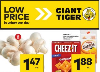 Giant Tiger Weekly Ad Apr 03 – Apr 09, 2024