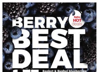 Hy-Vee Weekly Ad Apr 15 – Apr 30, 2024
