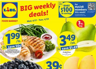 Lidl Weekly Ad Apr 17 – Apr 23, 2024