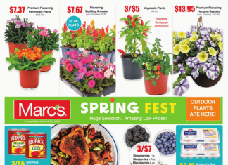 Marc’s Weekly Ad Apr 24 – Apr 30, 2024