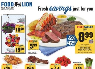 Food Lion Weekly Ad May 08 – May 14, 2024 (Mother’s Day Promotion Included)