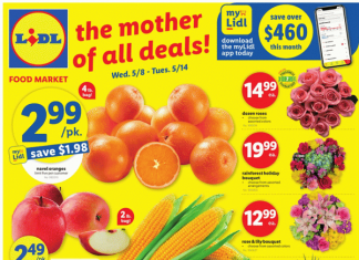Lidl Weekly Ad May 08 – May 14, 2024