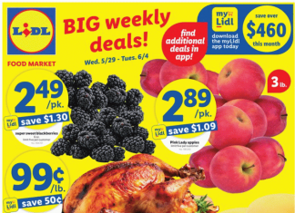 Lidl Weekly Ad May 29 – Jun 04, 2024