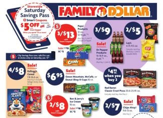 Family Dollar Weekly Ad Jun 09 – Jun 15, 2024 (Father’s Day Promotion Included)