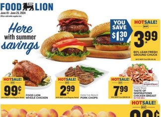 Food Lion Weekly Ad Jun 19 – Jun 25, 2024