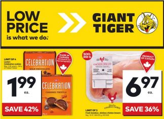 Giant Tiger Weekly Ad Jun 19 – Jun 25, 2024
