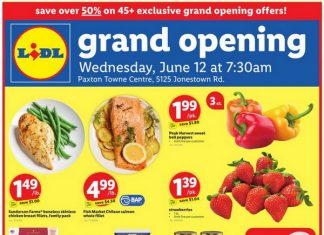 Lidl Weekly Ad Jun 12 – Jun 18, 2024