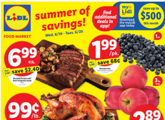 Lidl Weekly Ad Jun 19 – Jun 25, 2024