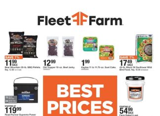 Fleet Farm Monthly Ad Jul 11 – Aug 14, 2024