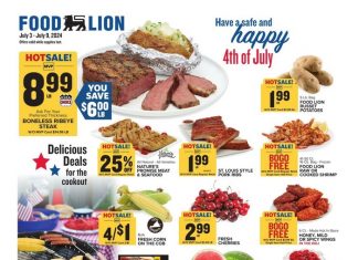 Food Lion Weekly Ad July 03 – July 09, 2024 (4th of July Promotion Included)