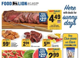 Food Lion Weekly Ad July 17 – July 23, 2024