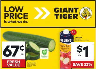 Giant Tiger Weekly Ad Jul 17 – Jul 23, 2024