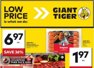 Giant Tiger Weekly Ad Jul 31 – Aug 06, 2024 (Back to School Promotion Included)