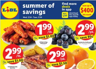 Lidl Weekly Ad Jul 24 – Jul 30, 2024 (Back to School Promotion Included)