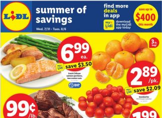 Lidl Weekly Ad Jul 31 – Aug 06, 2024 (Back to School Promotion Included)