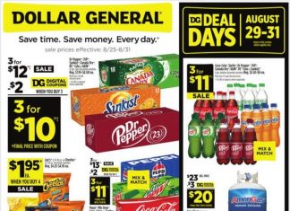 Dollar General Weekly Ad Aug 25 – Aug 31, 2024 (Back to School Promotion Included)