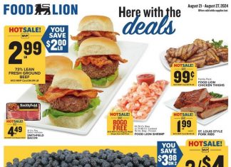 Food Lion Weekly Ad Aug 21 – Aug 27, 2024