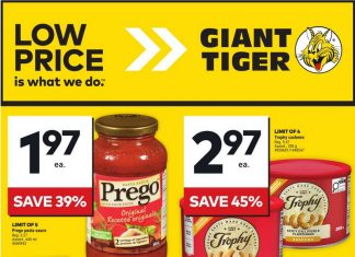Giant Tiger Weekly Ad Aug 07 – Aug 13, 2024 (Back to School Promotion Included)