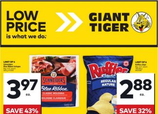 Giant Tiger Weekly Ad Aug 14 – Aug 20, 2024 (Back to School Promotion Included)