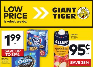 Giant Tiger Weekly Ad Aug 21 – Aug 27, 2024 (Back to School Promotion Included)